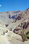 Colca Canyon